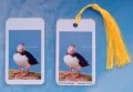 Puffin 10
