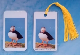 Puffin 10