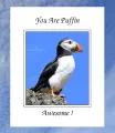 Puffin 11 Awesome
