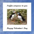 Puffin 21 Valentines Day 