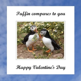 Puffin 21 Valentines Day 