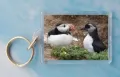 Puffling 4