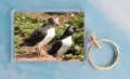 Puffling 3